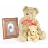 A gold plush Teddy bear With pointed snout, glass eyes and articulated limbs, height 48cm,