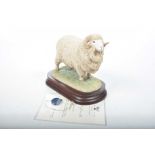 A Border Fine Art model, "Merino Ram" Model No: B1121 by Ray Ayres, signed verso by the sculpture,