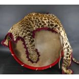 A hand painted Boys Brigade marching bass drum complete with leopard skin apron early 20th