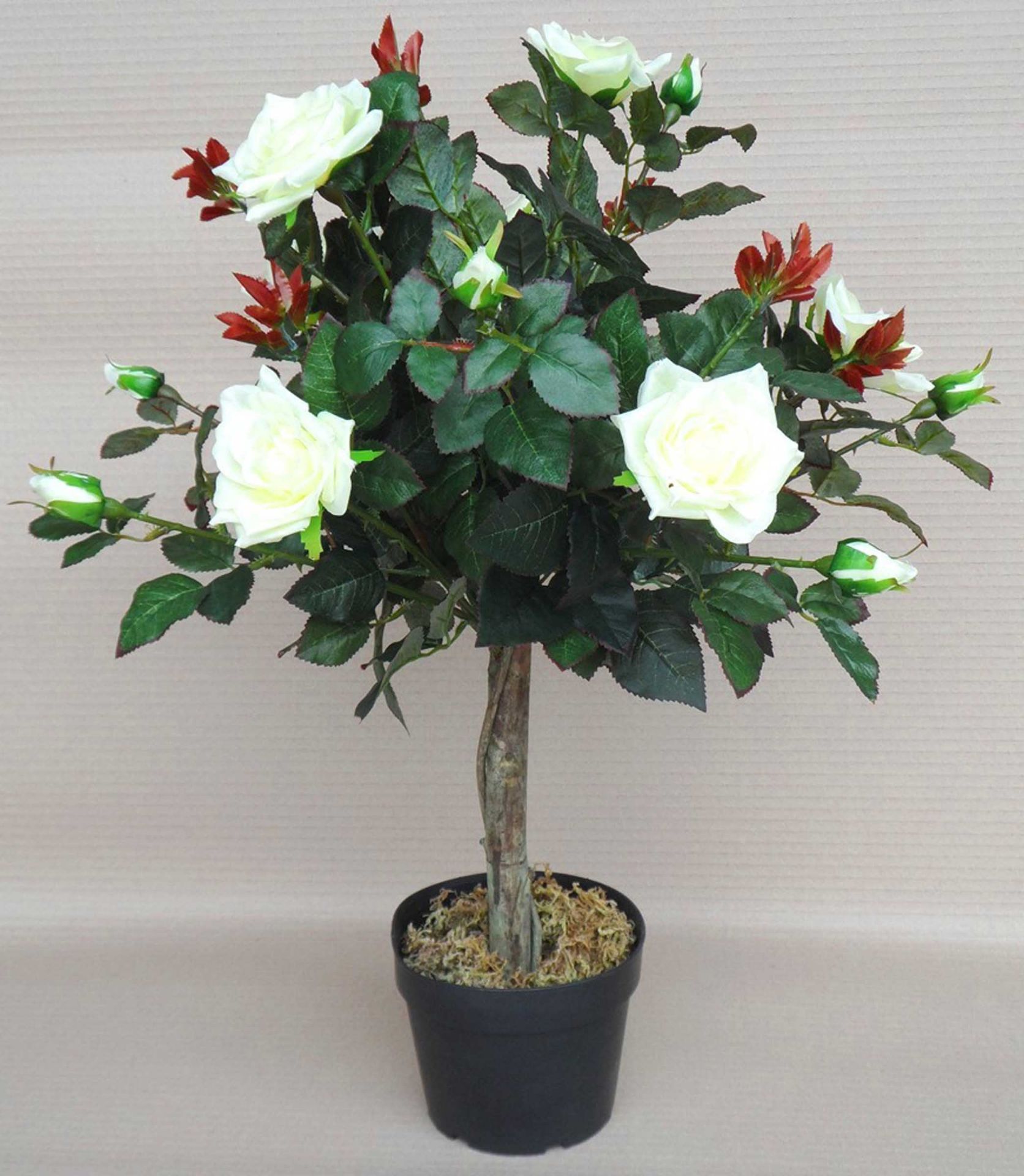 A pair of artificial potted cream rose bushes, 64x36x36cm.