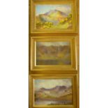 G Oliver - a group of three oil on board studies,