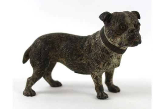 A 19th Century cold painted bronze model of a bulldog Length 11cm.