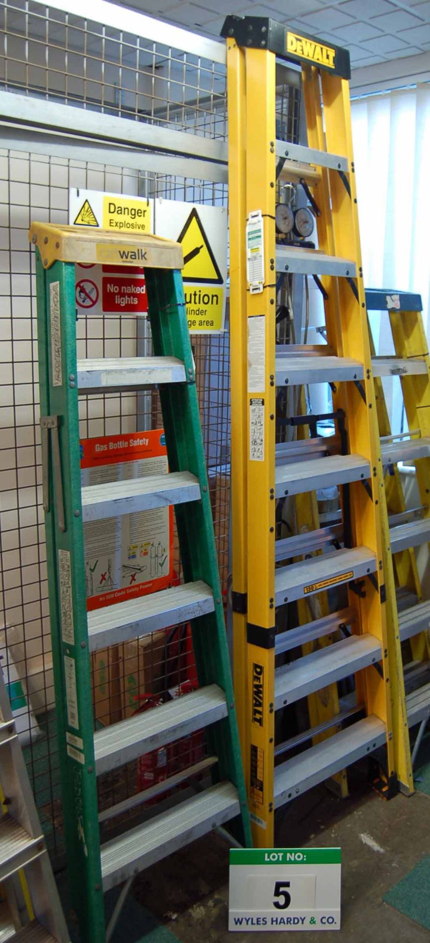 A DEWALT 8-Tread Fibreglass Step Ladder and A YOUNGMAN 6-Tread Fibreglass/Alloy Step Ladder