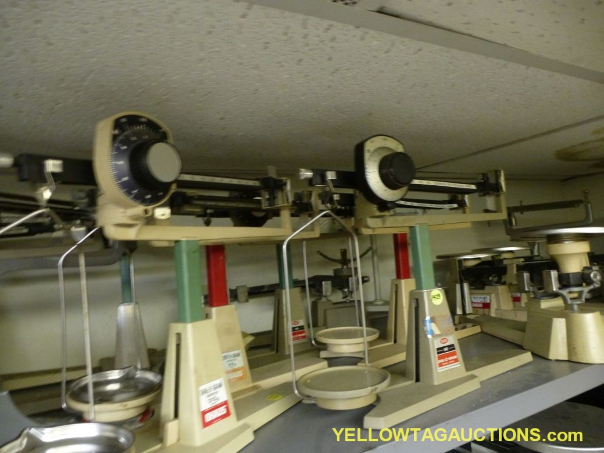 Lot of Approx. (10) Assorted Beam Balances|Location: Charlotte, NC