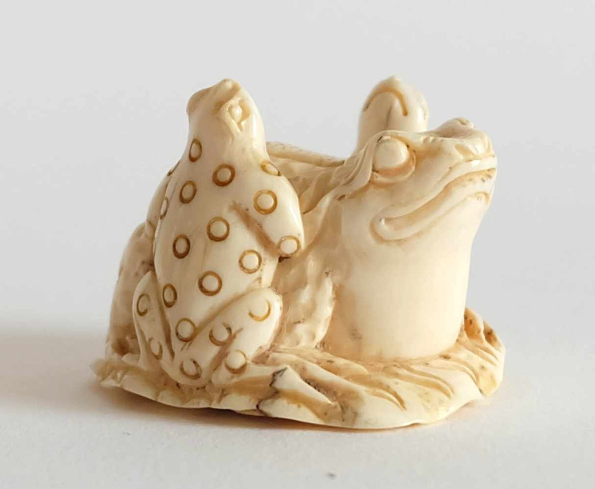 NETSUKE, Japan, 19./ 20.Jh., Elfenbein, farblich akzentuiert, 3 Kröten auf Lotusblatt, 3 x 4,1 cm