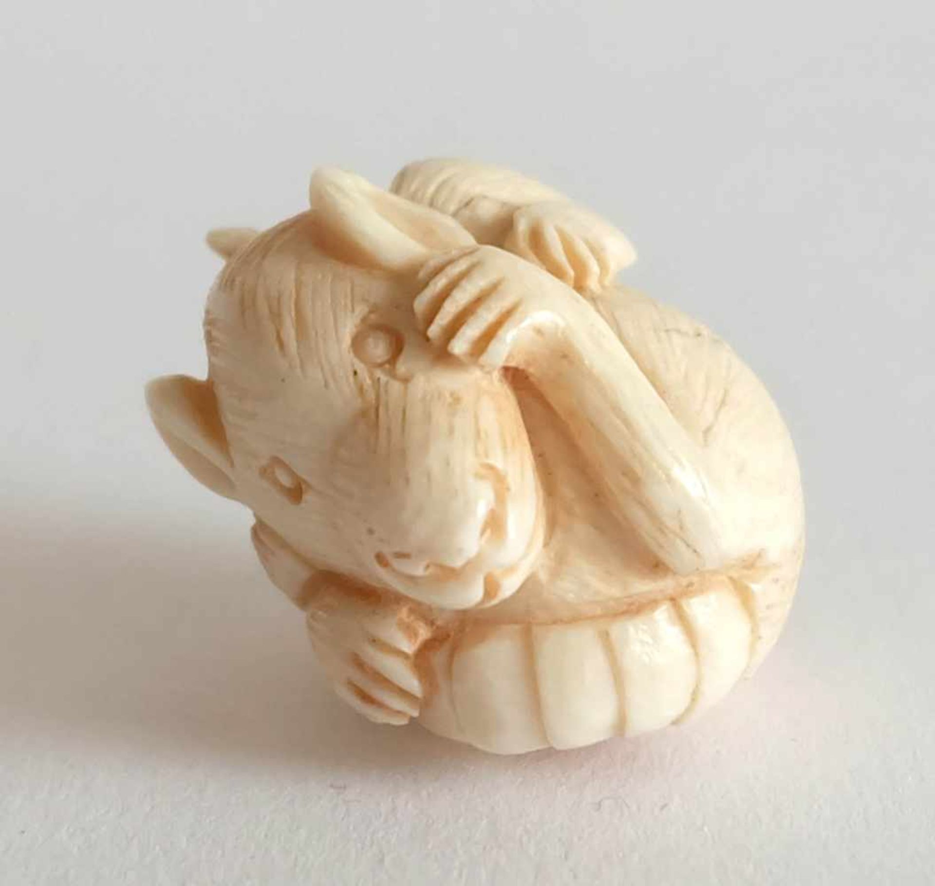 NETSUKE, Japan, 19./ 20.Jh., Elfenbein, leicht farblich akzentuiert, eingerollte Maus, Signatur, 2,1