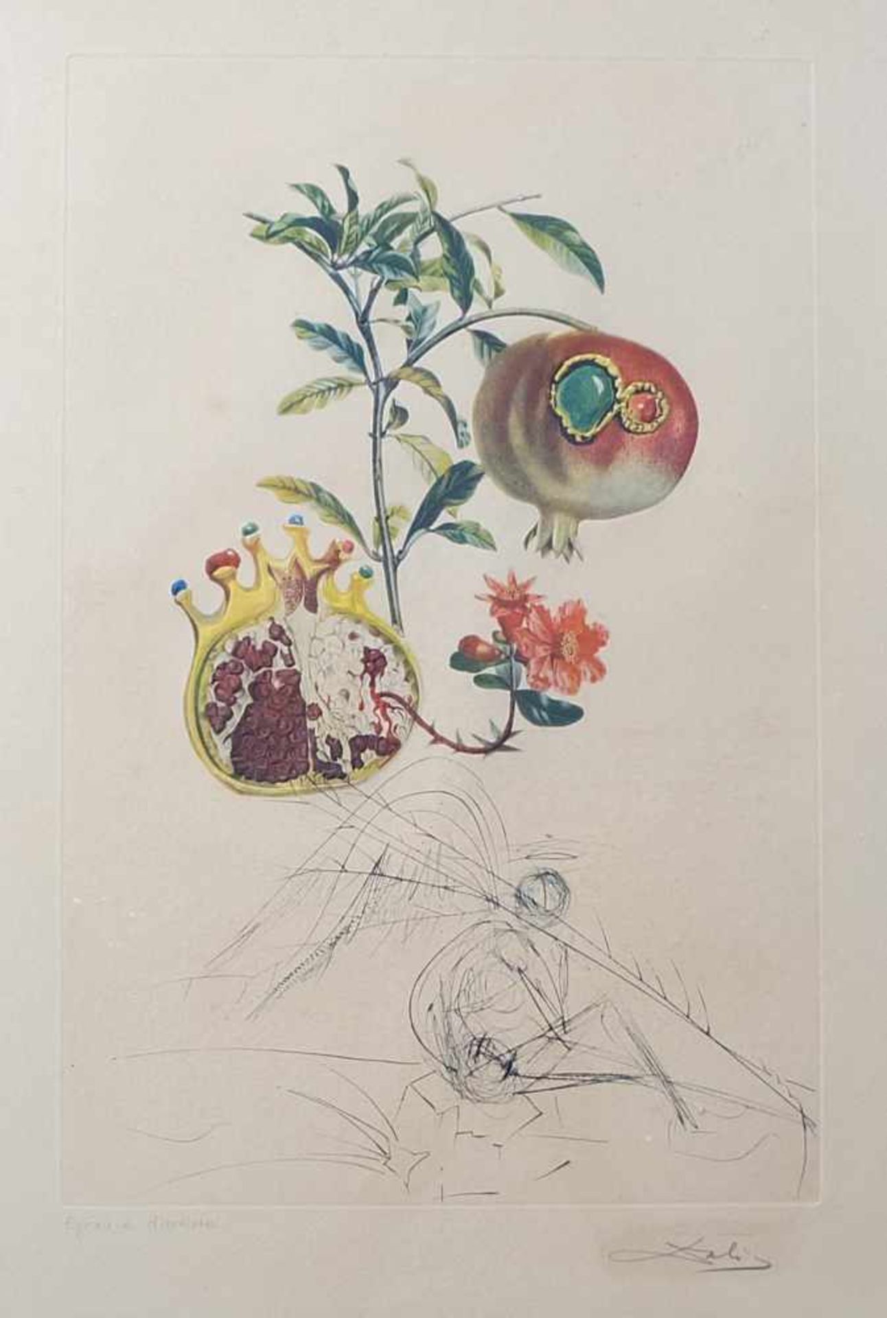 DALI, Salvador (*11.05.1904 Figueres +23.01.1989 ebd.), Farblithografie und Kaltnadelrad./