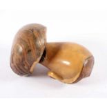 NETSUKE PILZ, Nuss, zweiteilig, H 4,5, sign., JAPAN, 20.Jh. 22.00 % buyer's premium on the hammer