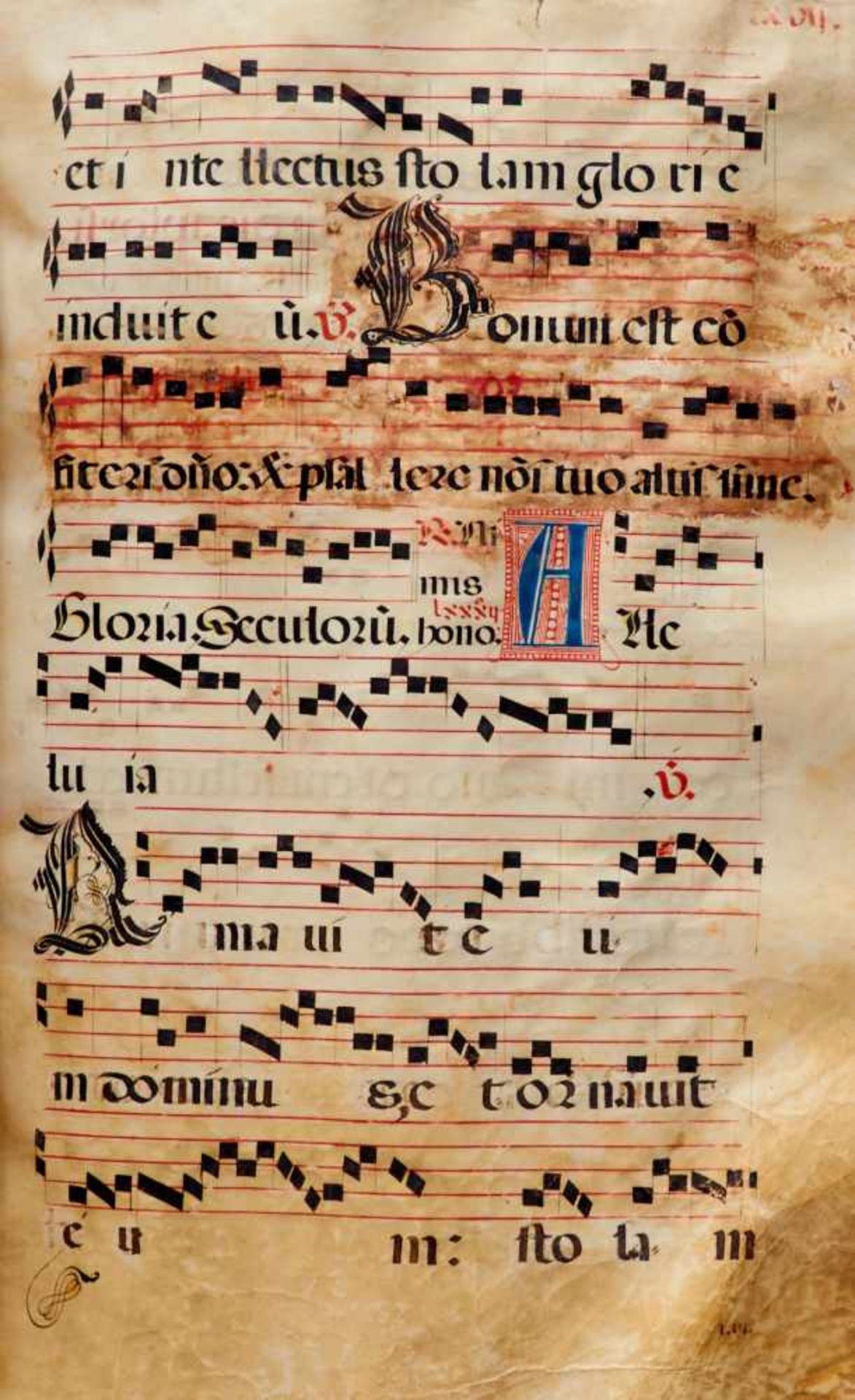 Antiphonar - Lateinische Handschrift auf Pergament. Nicht dat.Wohl Spanien, um 1600. Ca. 50 x 37 cm. - Bild 4 aus 5