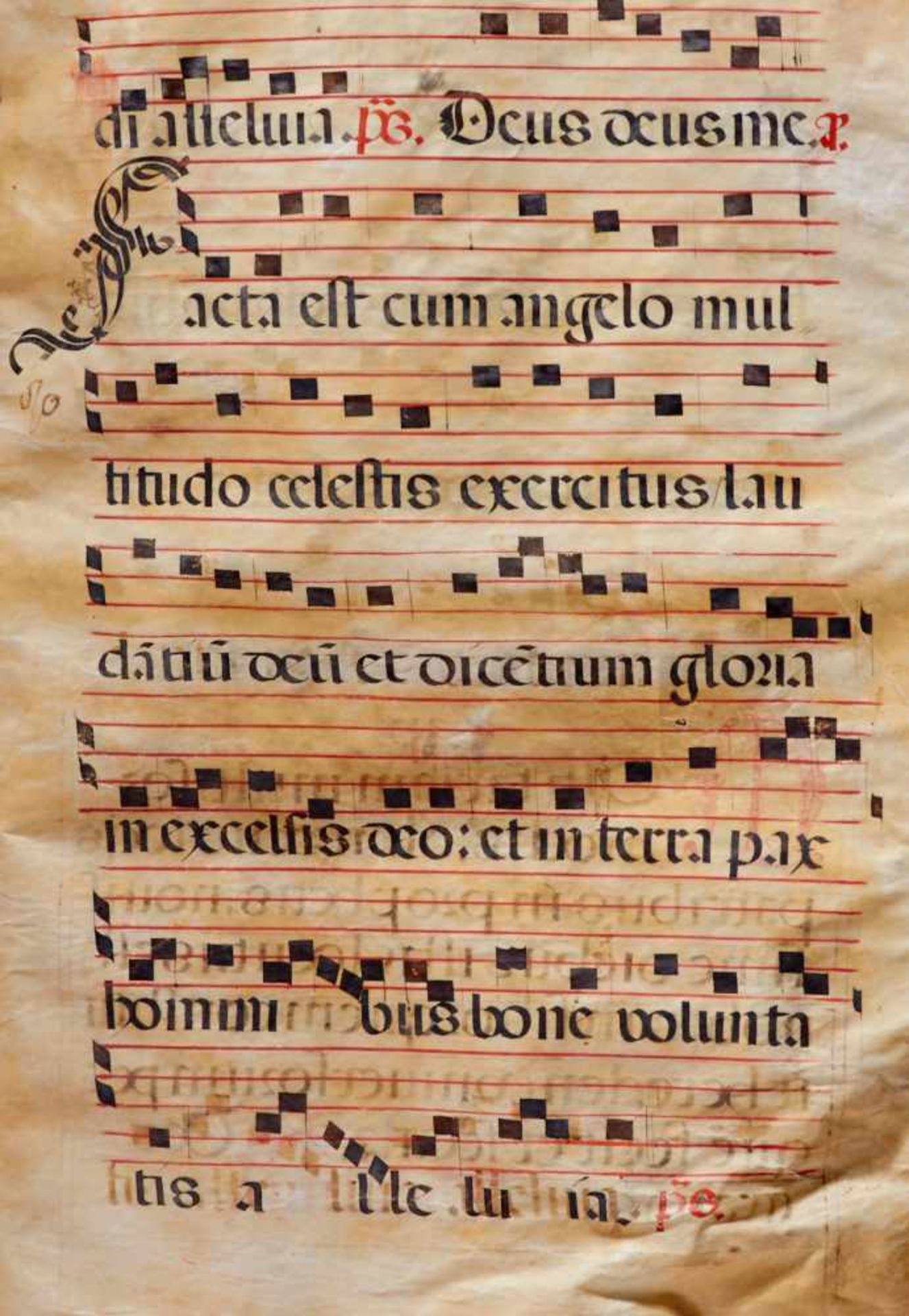 Antiphonar - Lateinische Handschrift auf Pergament. Nicht dat.Wohl Spanien, um 1600. Ca. 50 x 35 cm. - Bild 4 aus 7