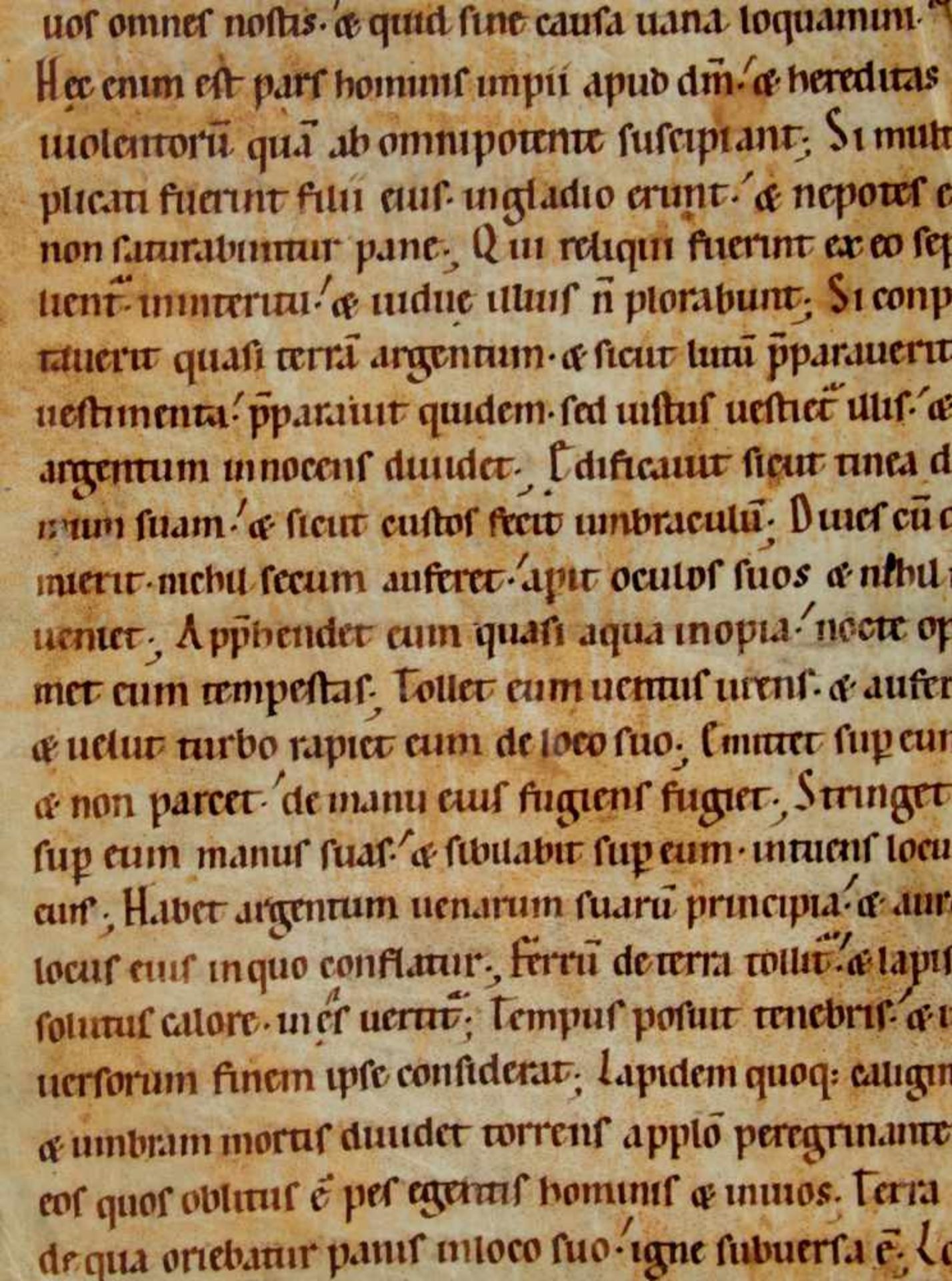 Bibel- Einzelblatt (Fragment)aus einer lateinischen Handschrift auf Pergament. Wohl Deutschland,