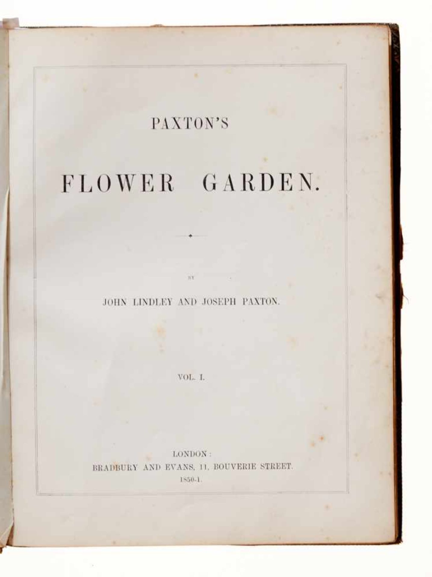 Lindley, J., und J. Paxton, Paxton's Flower Garden.Bd. I (von 3). London, Bradbury and Evans, 1850- - Bild 2 aus 6