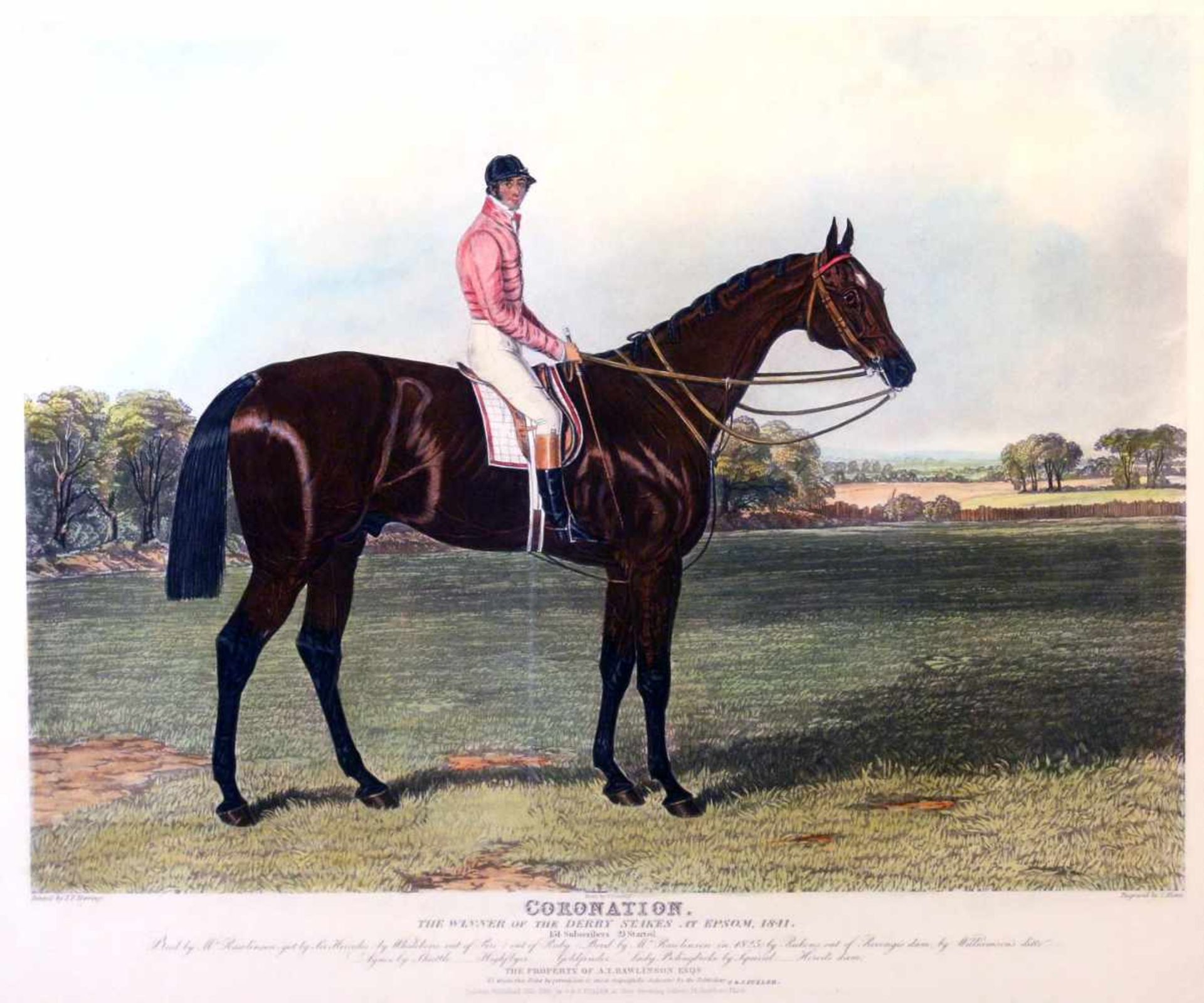2 Grafiken "Englische Pferde" - Charles Hunt (1803-1877) Titel "Elis" und "Coronation", Namen - Image 5 of 5