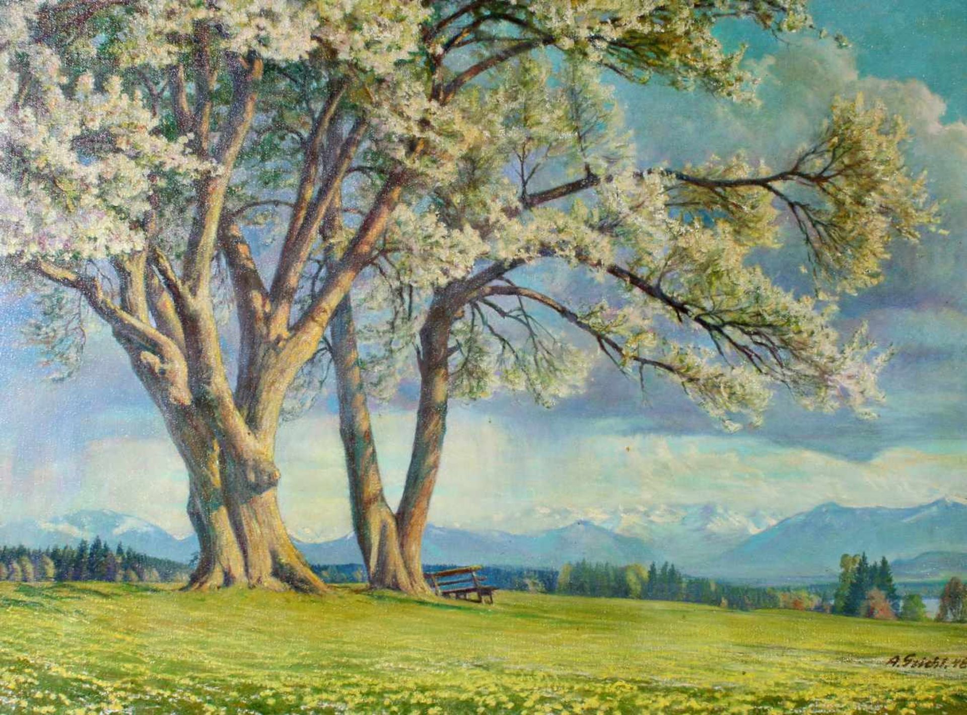 "Blühende Kirschbäume am Starnberger See" - Arthur Griehl (1879-1955)Öl auf Leinwand, unten rechts