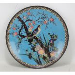 A Japanese cloisonné enamel charger with central scene of bird perched on cherry blossom tree,
