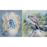 R D KRISTUPAS; pair of watercolours, two bird studies of a kestrel and a kingfisher,