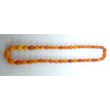 A graduated amber bead necklace, length 48cm, approx 26.3g.