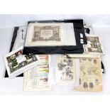 A quantity of unframed ephemera including Victorian and Edwardian invitations, certificates, various