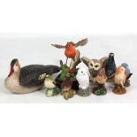 Six models of birds including 'Merganser Female', robin (af), snowy owl etc, and three Beswick