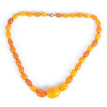 A graduated amber bead necklace, length 46cm, approx 29g.