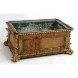 A kingwood veneered twin handled planter with tin liner and gilt mounts, width approx 43cm (af).