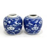 A pair of late 19th/early 20th century Chinese porcelain ginger jars decorated with blossoming