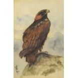 GEORGE EDWARD LODGE (1860-1954); watercolour, eagl