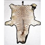 A zebra skin rug on black felt backing, approx 278 x 190cm.Additional InformationHeavily worn with