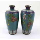 A pair of Chinese cloisonné elongated ovoid vases decorated with chrysanthemums to a turquoise