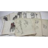 A collection of anatomical drawings and prints, prints examining muscles,
