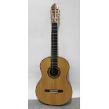 A Valencia Classical guitar, model CG195, serial no.