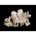 A Japanese Meiji period carved ivory netsuke modelled as a group of five puppies, signed to base,