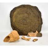 A large specimen ammonite, width approx 33cm and a group of animal bones including cow, pig and