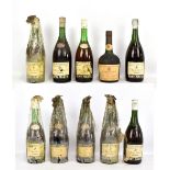REMY MARTIN; nine bottles of fine Champagne Cognac and a further bottle of Napoleon Old Liqueur