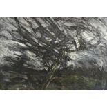 ARTHUR BERRY; mixed media, 'Windswept Tree', signed and dated '87, 68 x 88cm, framed and glazed (D).