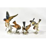 HUTSCHENREUTHER; four bird figures, all impressed 'G Granget' to base, two with model no. 8281 and