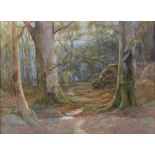 REV H DUDLEY; a watercolour of a woodland scene, signed lower-right, framed and glazed, 45.