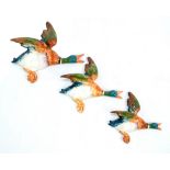 BESWICK; a set of three graduated duck wall plaques, width of largest 22cm.Additional