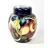 MOORCROFT; a tube line decorated 'Queen's Choice' pattern lidded ginger jar on navy ground, WM