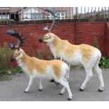 Two large plush covered model reindeer, length of larger approx 140cm.