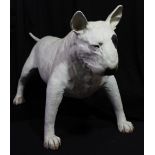 BULLSEYE; A large hollow model English Bull Terrier, length 110cm. Additional InformationThis