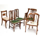 Two Edwardian mahogany and line inlaid salon chairs, a carver example, also two others (5).