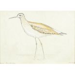 EG LUFF; watercolour, 'Wood Sandpiper', signed and titled, 11.5 x 16cm, framed and glazed.