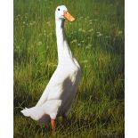 PAUL JAMES; signed limited edition print, 'Dottie', no.23/95, signed lower right, 50.8 x 63.5cm,