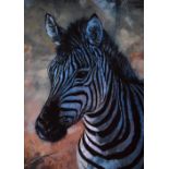 ROLF HARRIS; signed limited edition print, 'Young Zebra', no.8/26 AP, signed upper right, 33 x 50.