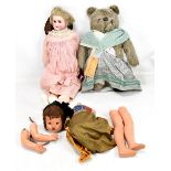 A Gabriele Designs Ltd teddy bear, and two dolls (both af) (3).Additional InformationBisque headed