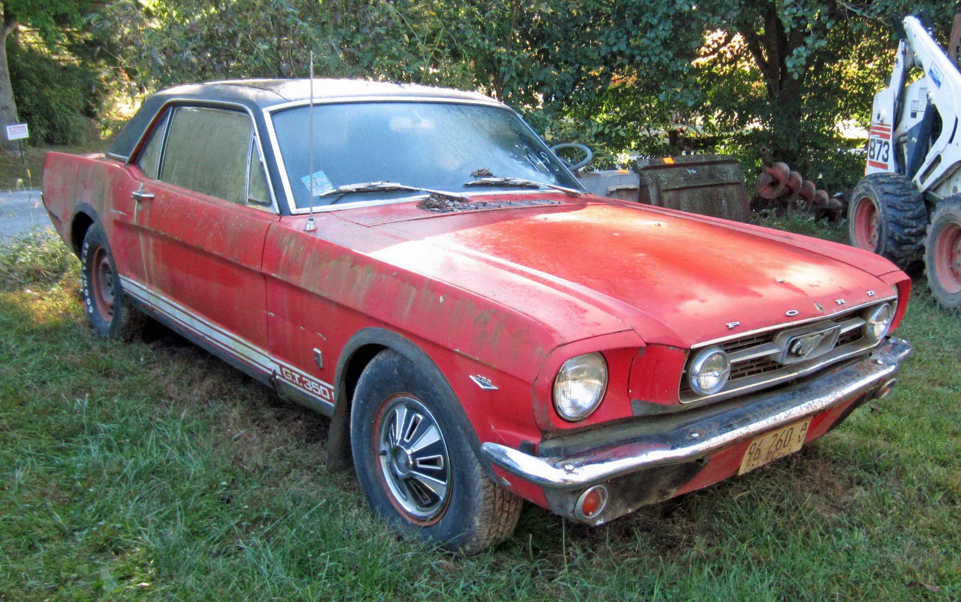 1966 FORD MUSTANG GT350, VIN#6F07A355589