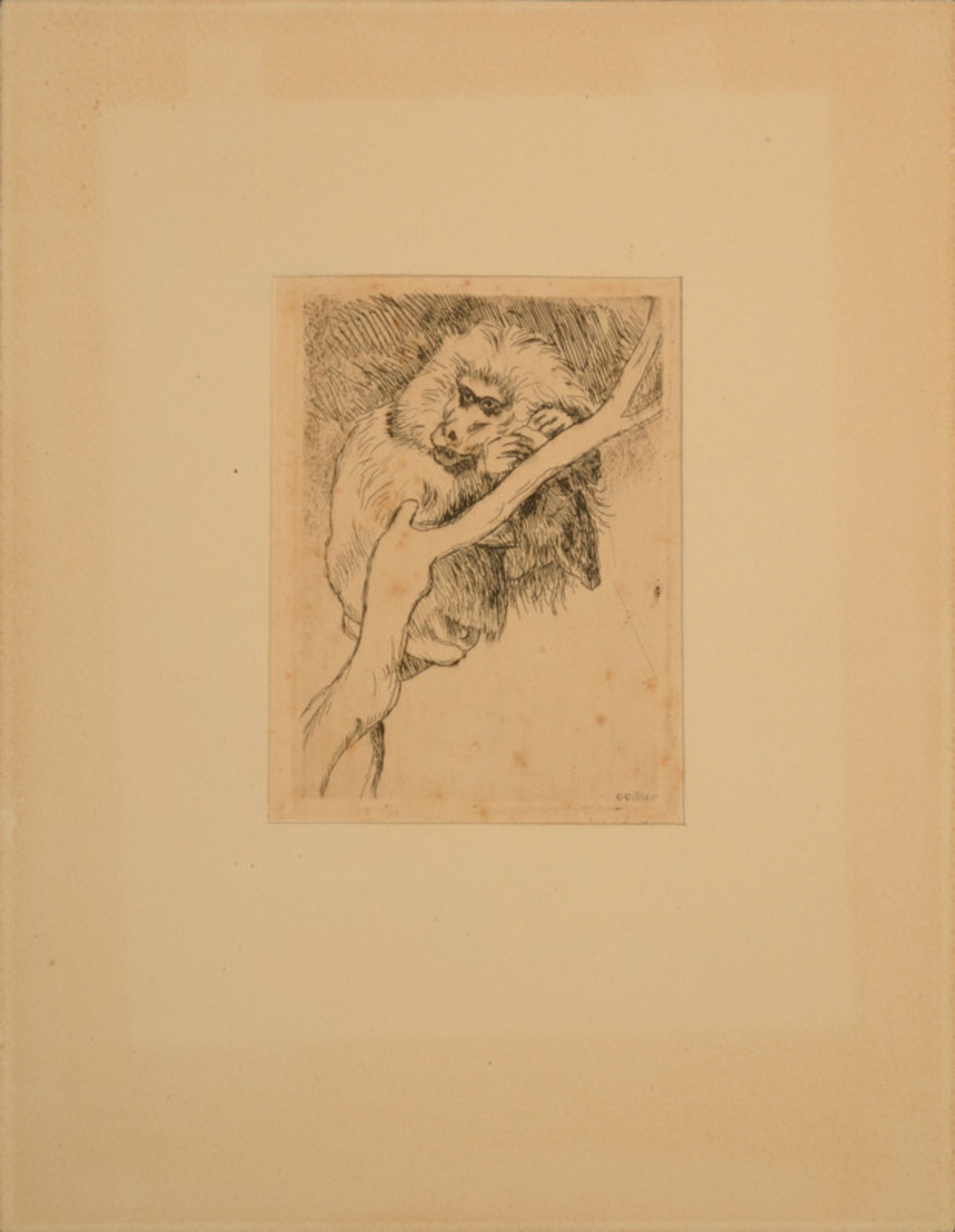 Ernst Eitner (1867 - 1955) - Radierung auf Papier, "Pavian im Baum", 1943unten rechts in der Platte-