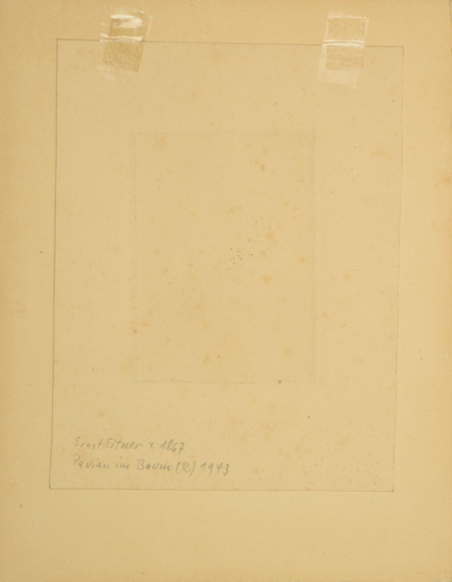 Ernst Eitner (1867 - 1955) - Radierung auf Papier, "Pavian im Baum", 1943unten rechts in der Platte- - Bild 2 aus 3