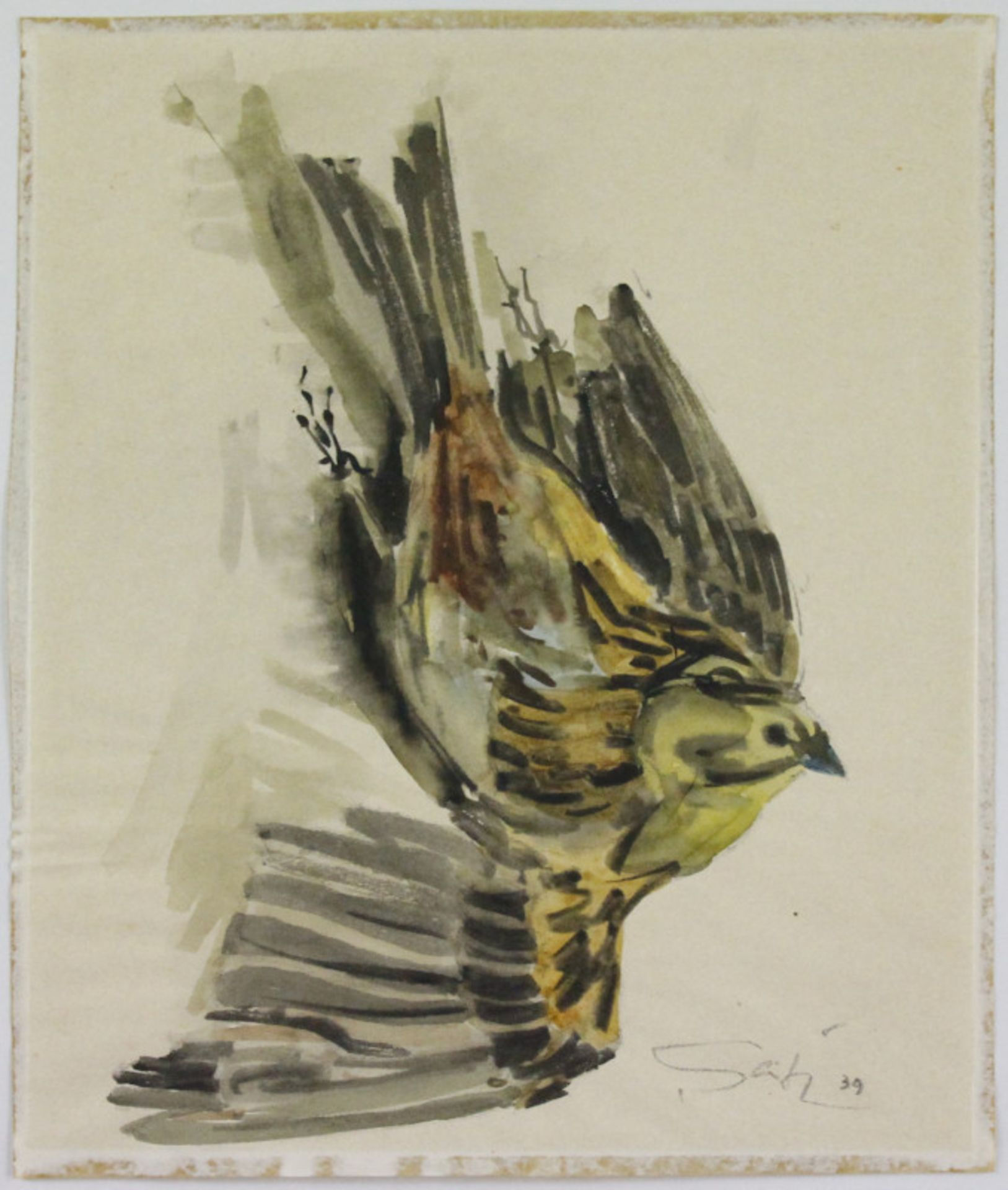 Philipp Karl Seitz (1901 - 1982) - Aquarell auf Papier, "Goldammer", (19)39unten rechts signiert und